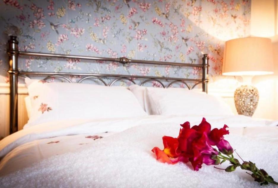 The Blue Cat Hotel เคนแมร์ ภายนอก รูปภาพ